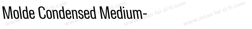 Molde Condensed Medium字体转换